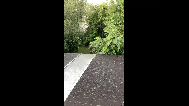 Cseresznyejégeső 2023.09.03. 07:52