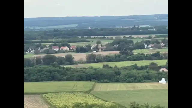 E91EF3EA-287B-4B09-8465-7A7E5C4C3999.mp4