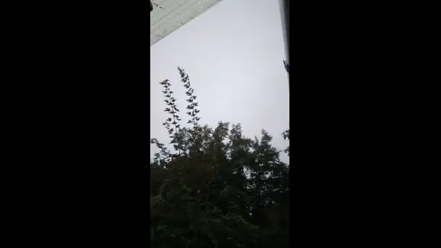 VID_20230903_143504.mp4