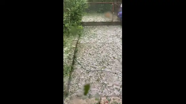 B518F400-565D-45F5-AD70-F95AB324E2D6.mp4