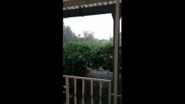 VID_20230903_162055.mp4