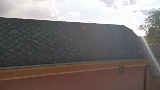 petal_20230903_172040.mp4