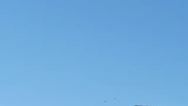 Újra fecskék ☺️