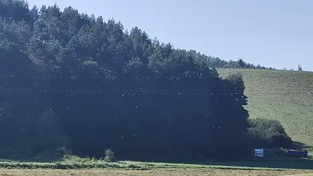 Fecsketenger Mátraballa 2023.09.08.