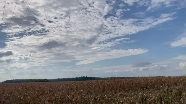 7B7A9542-7FFB-42DA-9F08-BA18E7C81AA2.mp4