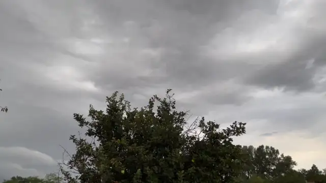 0113217B-DC35-40D0-BC80-35AD33845B4E.mp4