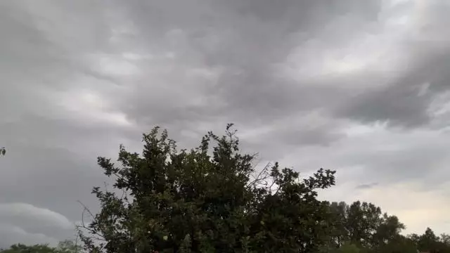 0113217B-DC35-40D0-BC80-35AD33845B4E.mp4