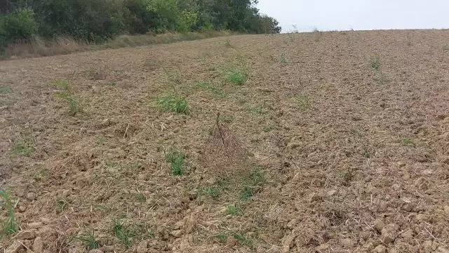 ''Ördögszekér'' a viharos szélben.