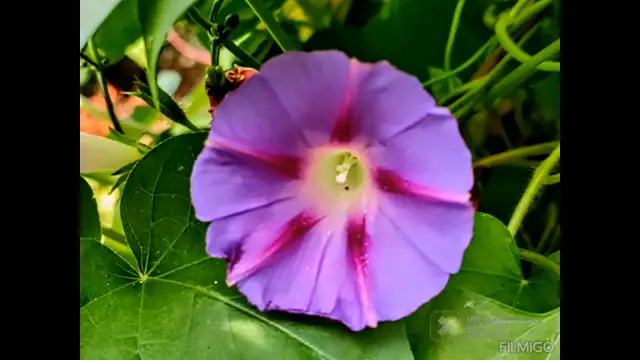 ZALAEGERSZEG Őszi hangulat