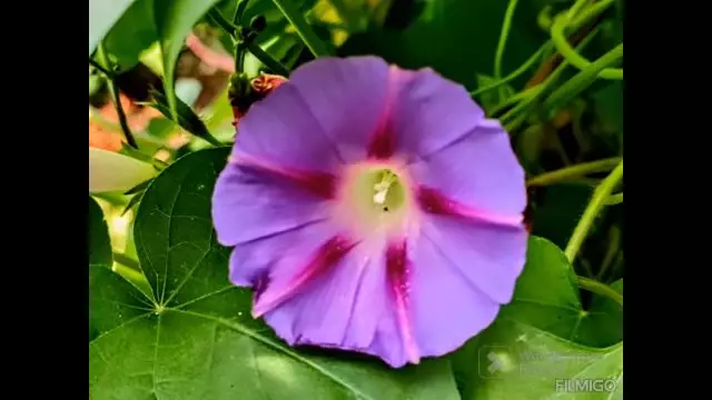 ZALAEGERSZEG Őszi hangulat