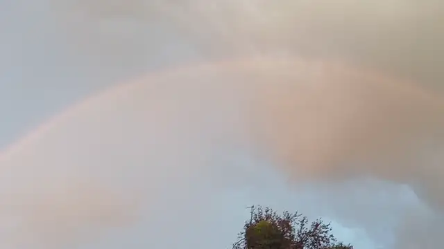 VID_20231022_174115.mp4