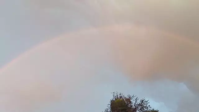 VID_20231022_174115.mp4