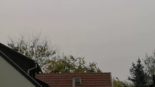 VID_20231031_133934.mp4