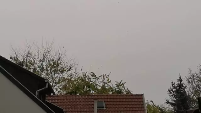 VID_20231031_133934.mp4