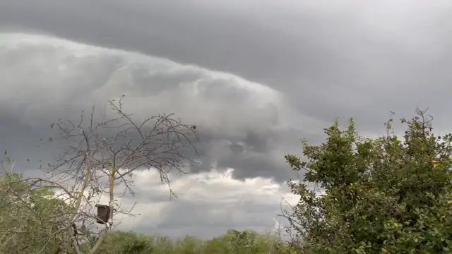 17A174F0-1D6B-4ACA-8E94-D5E49A3404CF.mp4