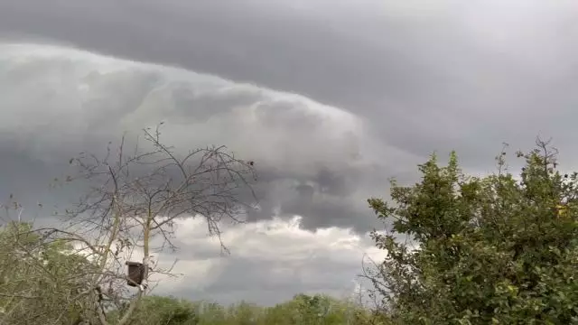 17A174F0-1D6B-4ACA-8E94-D5E49A3404CF.mp4