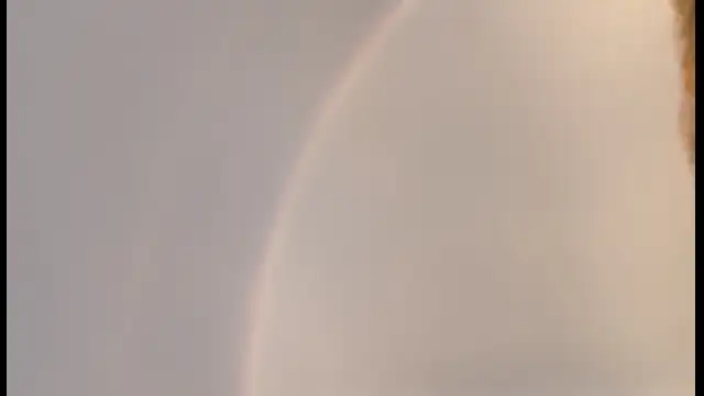 received1302877417033660.mp4