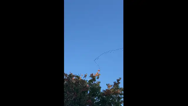 Daruvonulás a főváros felett