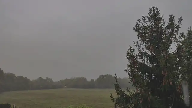 Ilyen permetszerű záporból esett le rövid idő alatt 2 mm