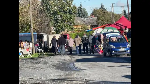 68456E36-A4B0-461F-8ABF-B8FD67789FE6.mp4