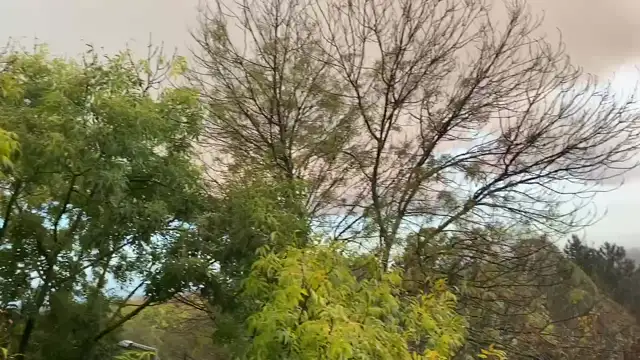 B57CEB5C-874B-4E52-AAB3-3BDCC5BC05B0.mp4