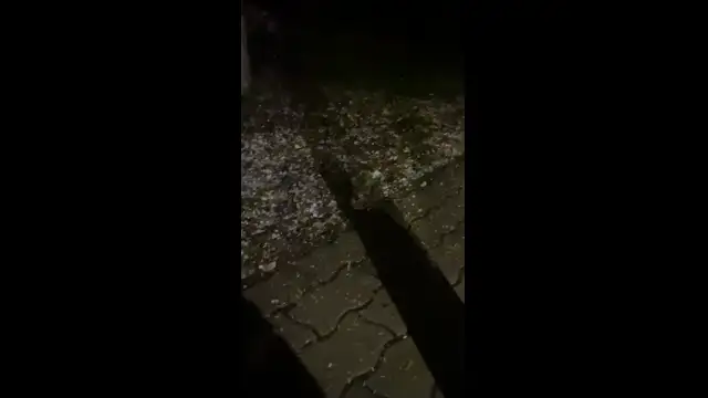 CA99D26C-A3F0-4A2E-A11A-EBFD6E6EAFDF.mp4