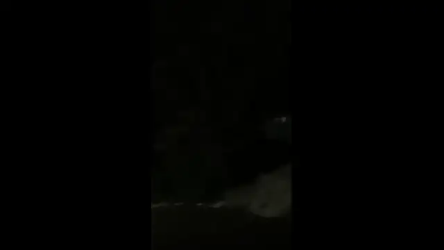 VID_20231108_030914.mp4