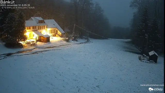Bánkút (bankut_sicentrum) gyorsított felvétele