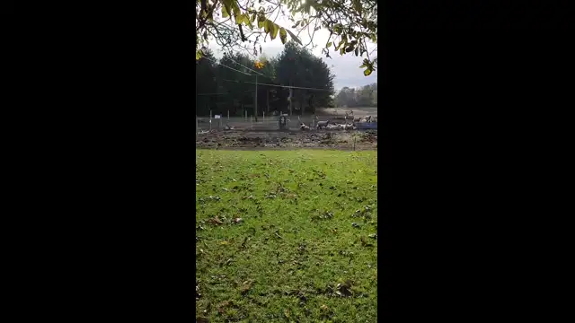 6E748BA0-BF46-45FC-9508-79DA31022CA4.mp4