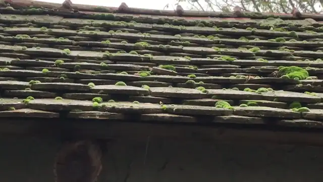 47389560-A1AB-4629-9615-CC23EAFE6B7D.mp4