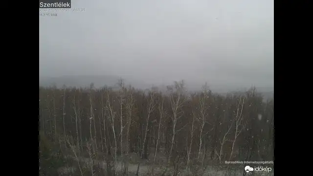 Szentlélek fehérbe borult