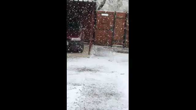 F31B9917-62F7-4C11-BE3B-4D771A4AD5F5.mp4