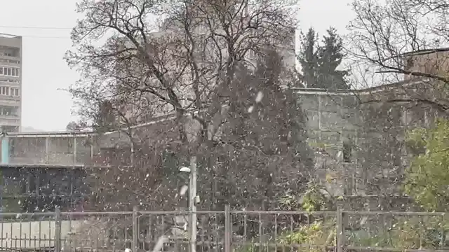 DB77F05C-EDA1-4A2B-B379-A74C70F6CCE9.mp4