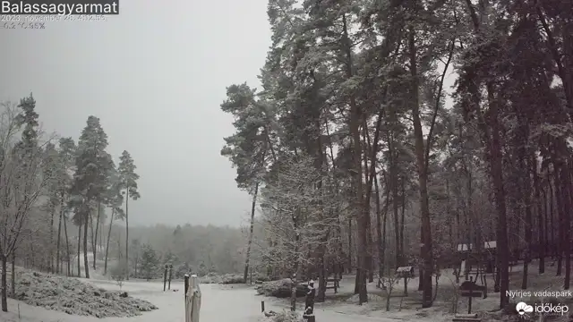 Roskadoznak a fák a hó súlya alatt