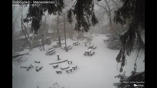 Gyorsan konyulnak le a faágak