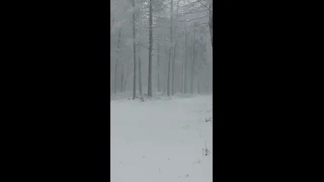 Mesebeli táj Galyatetőn