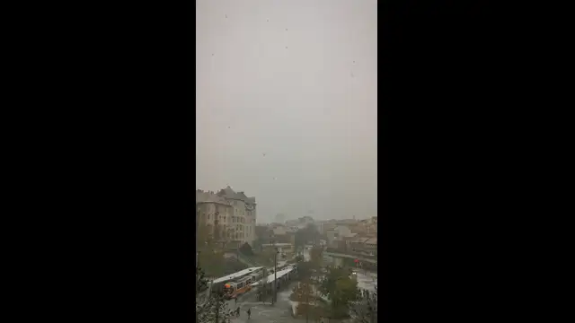 VID_20231130_082833.mp4