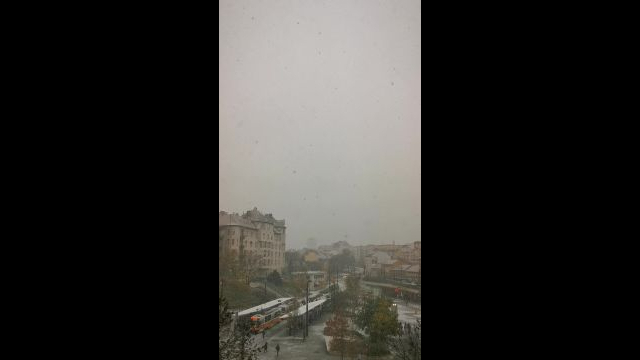 VID_20231130_082833.mp4