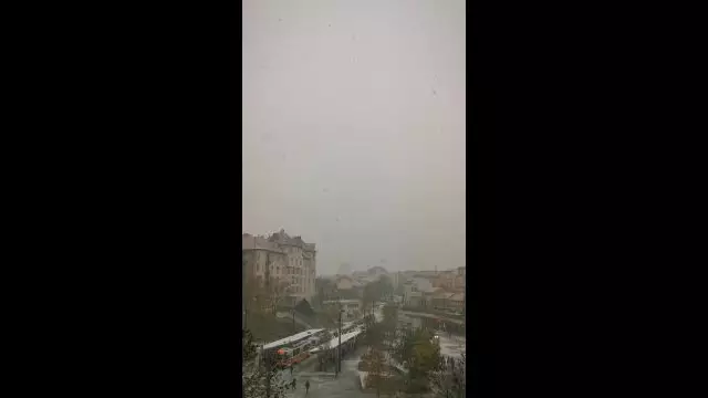 VID_20231130_082833.mp4