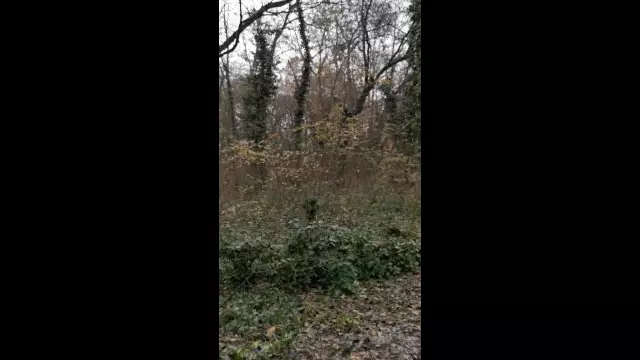 VID_20231130_082952.mp4