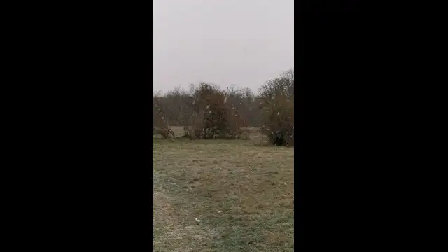 VID_20231130_083319.mp4