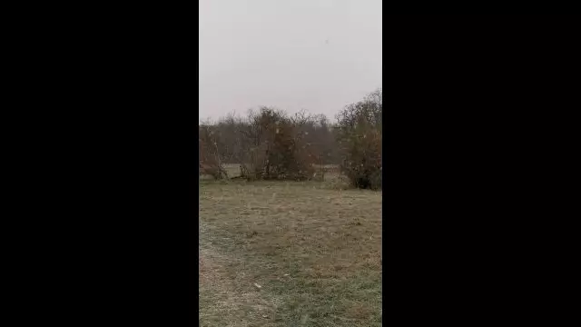 VID_20231130_083319.mp4