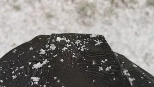 VID_20231130_084159.mp4