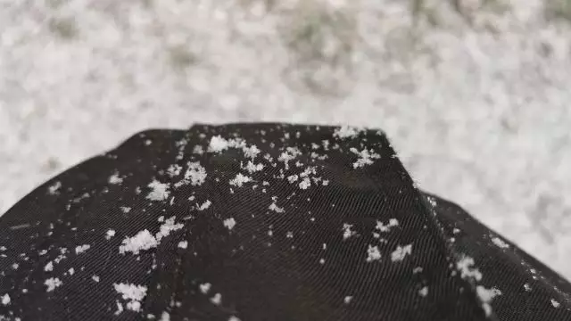 VID_20231130_084159.mp4