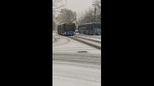 VID_20231130_091341.mp4