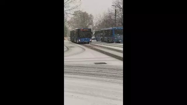 VID_20231130_091341.mp4