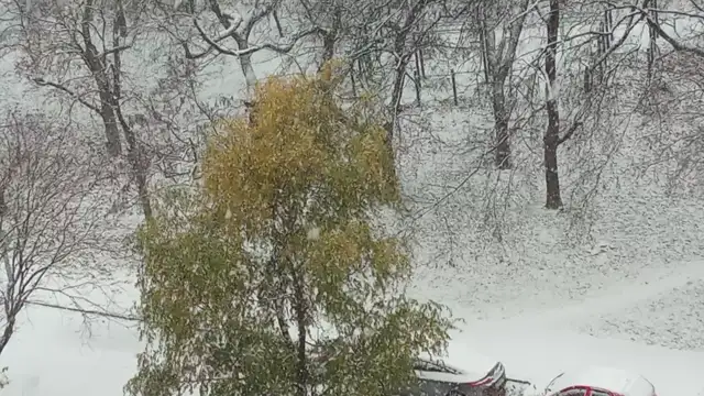 VID20231130095503.mp4