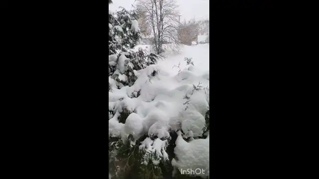 InShot20231130123322619.mp4