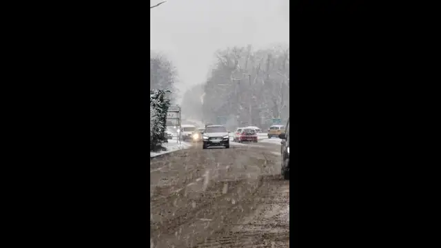 VID_20231130_123727.mp4