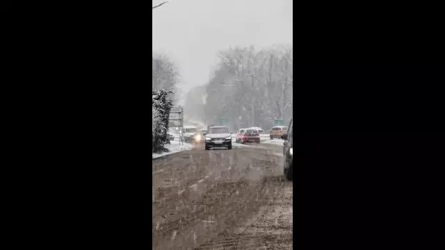 VID_20231130_123727.mp4